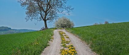 Kachel X-Wege