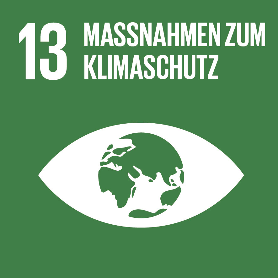 Icon Maßnahmen zum Klimaschutz Auge mit Erde als Pupille