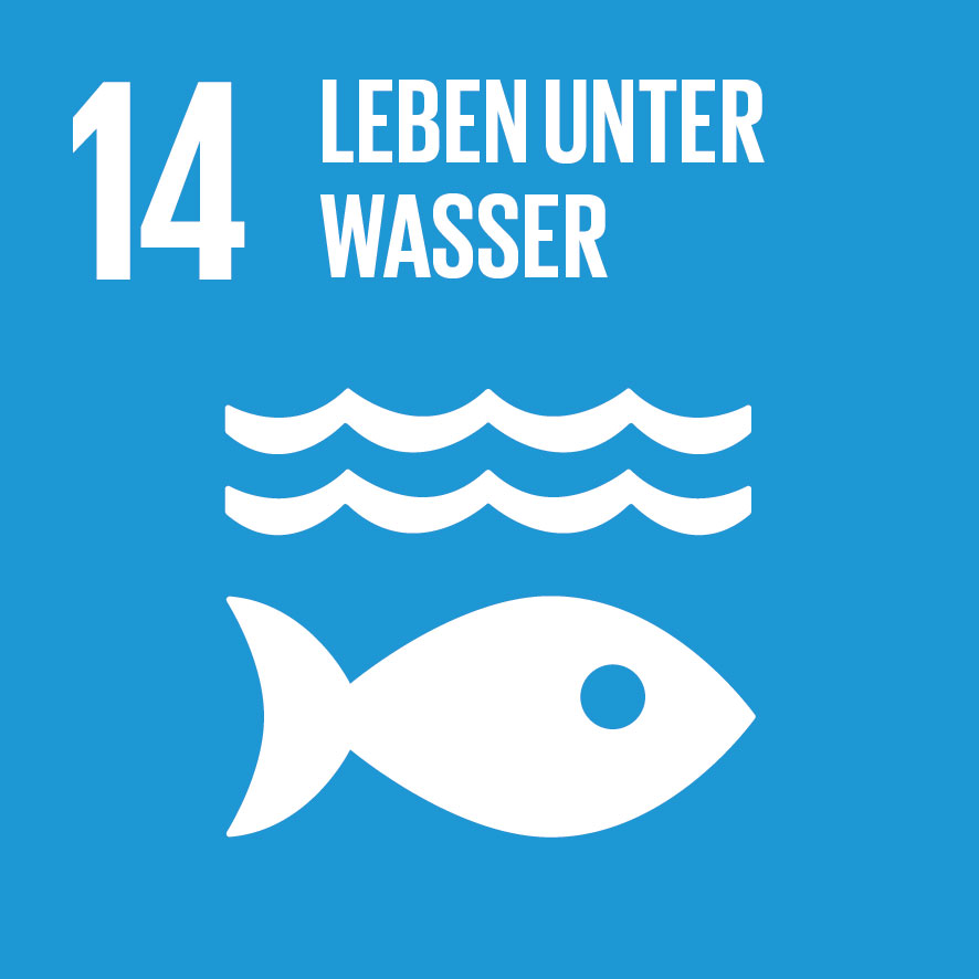 Wellen Fisch