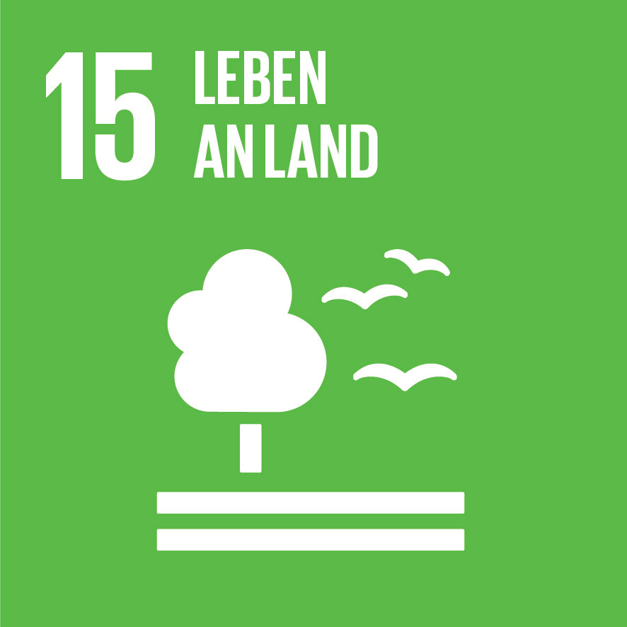 Icon Leben an Land Baum Vögel